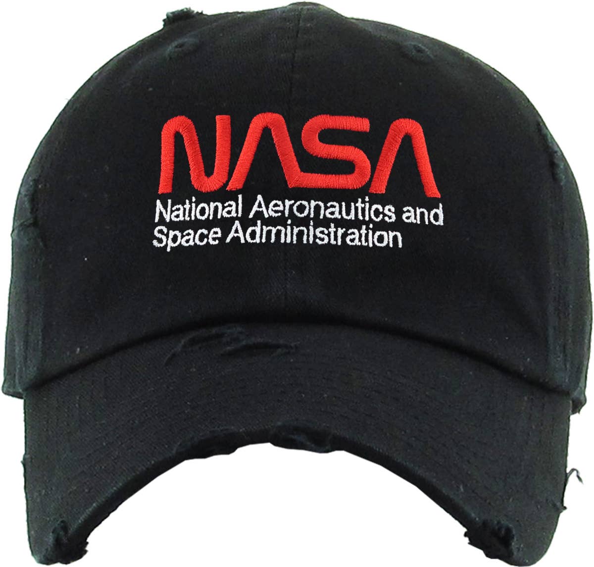 NASA Vintage Dad Hat