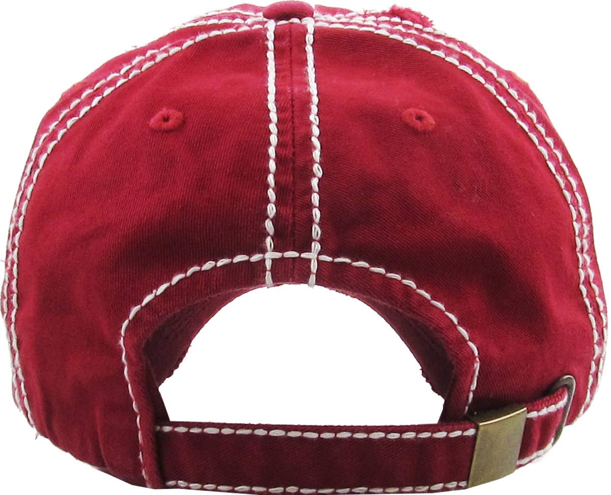 Nasa Insignia Vintage Ballcap