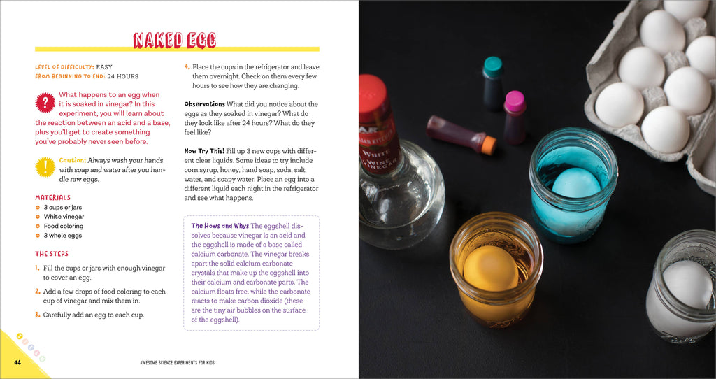 Awesome Science Experiments for Kids
