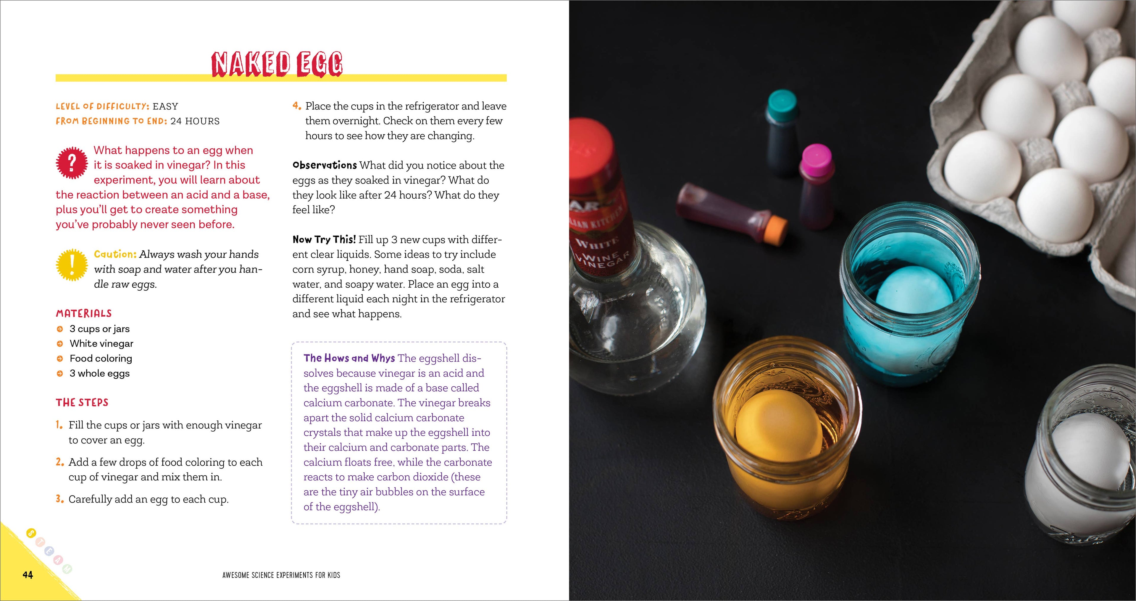 Awesome Science Experiments for Kids