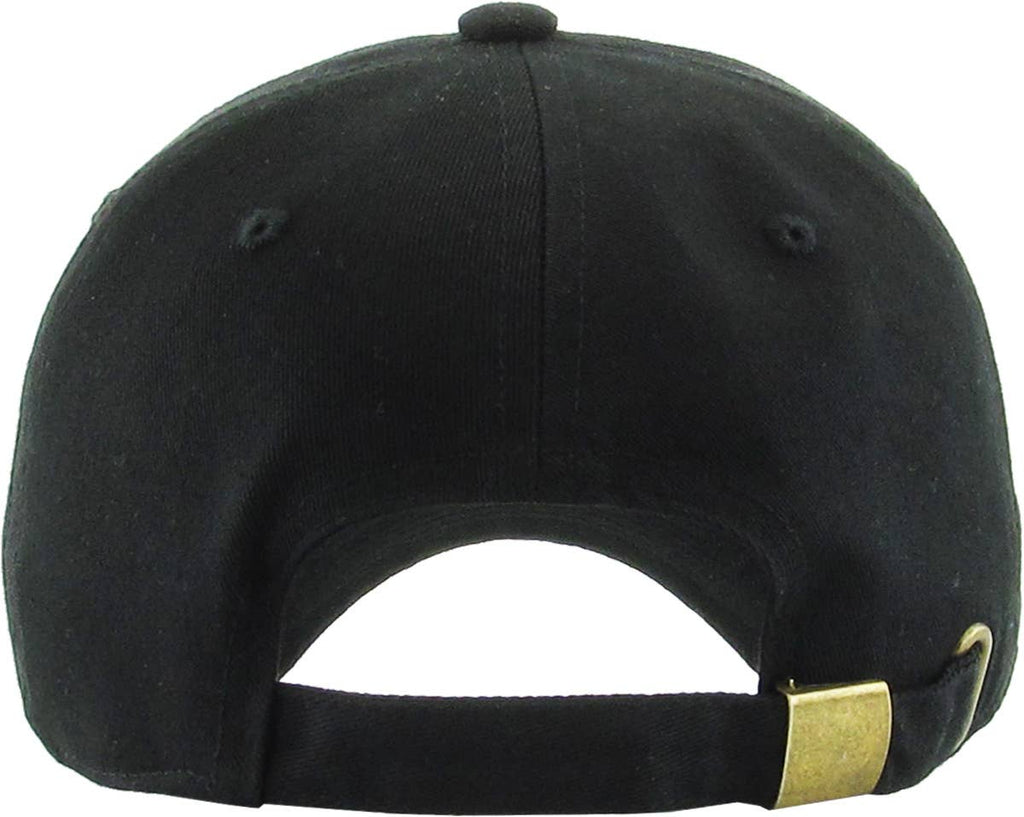 NASA Vintage Dad Hat