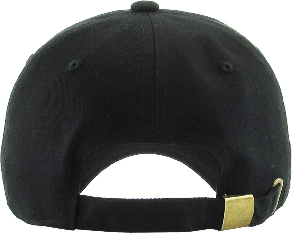 NASA Vintage Dad Hat