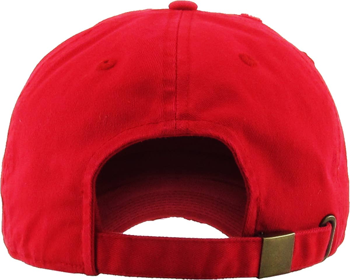 NASA Vintage Dad Hat