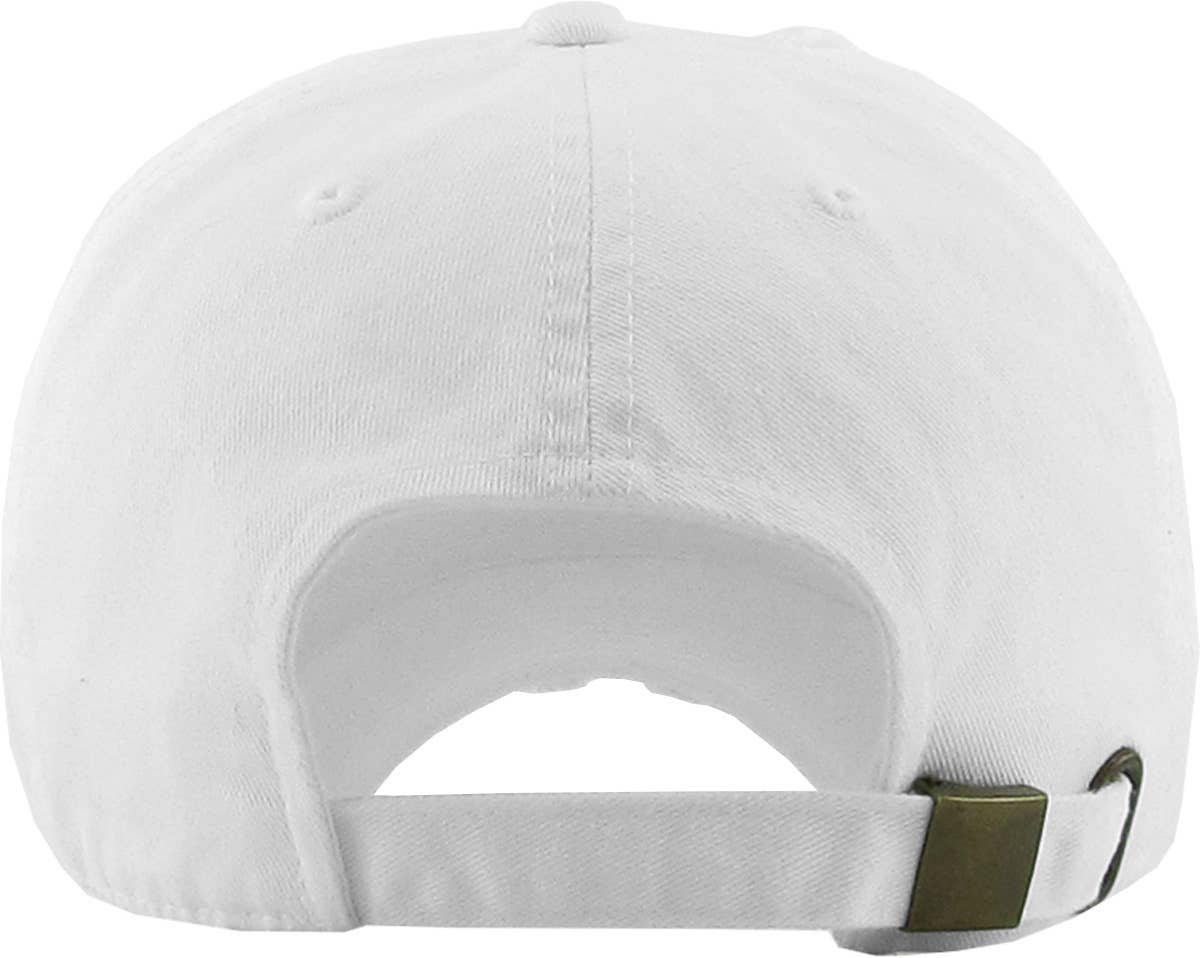 NASA Vintage Dad Hat
